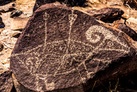 Bighorn Sheep Petroglyph