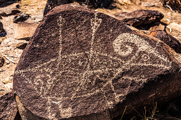 Bighorn Sheep Petroglyph