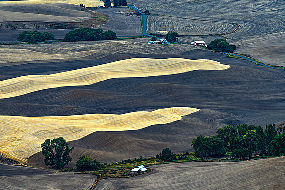 Agri Art 6